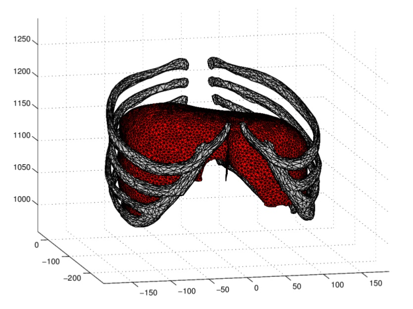 Elisabeth_Larsson_respiratory_project.png