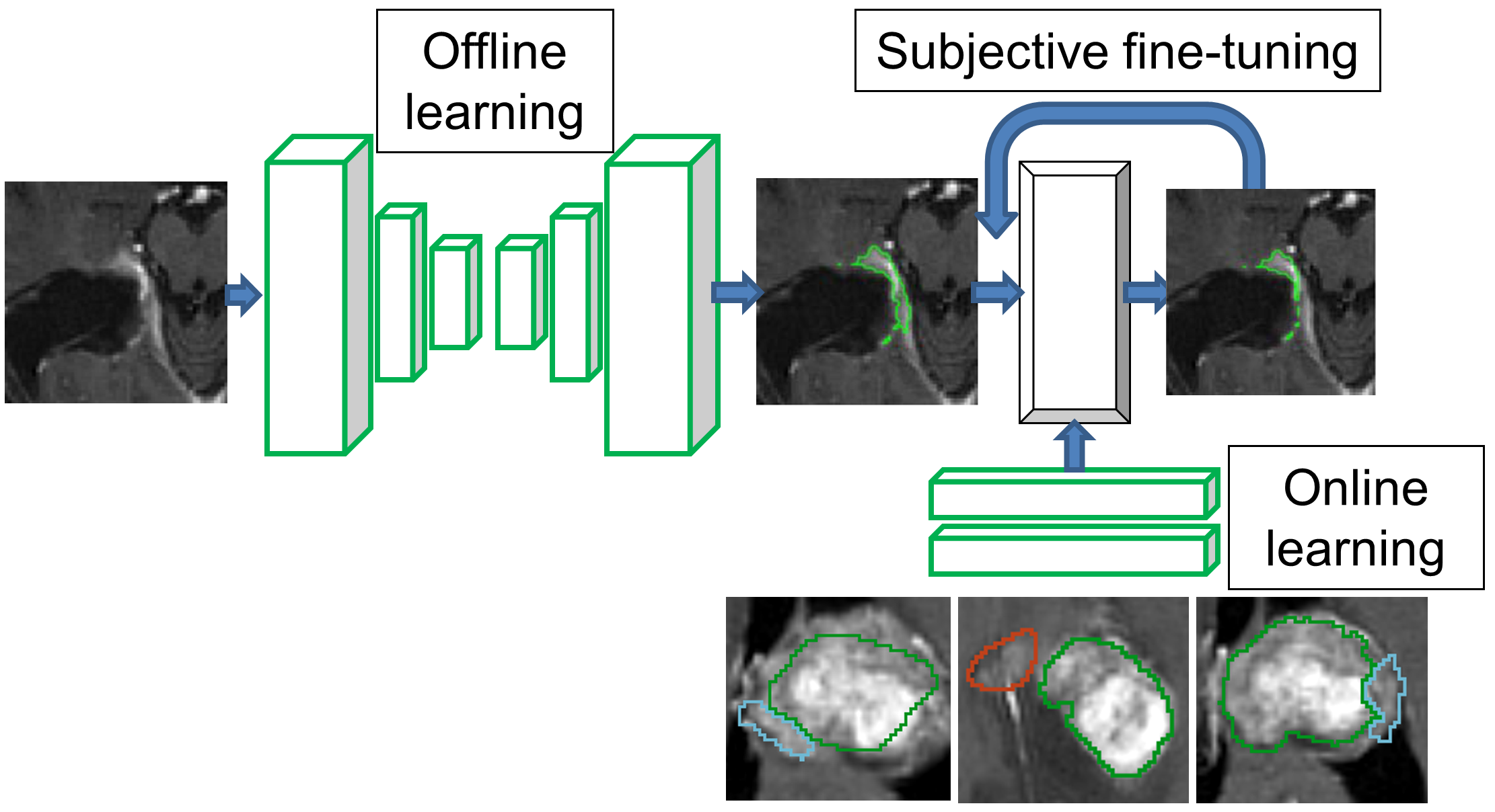 neuroradiology.png