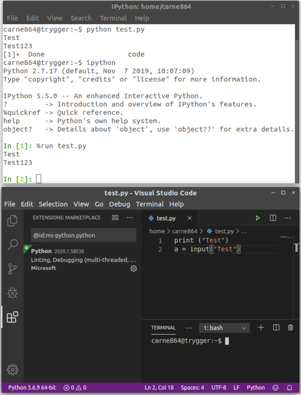 Visual Studio Code med program i terminalfönster